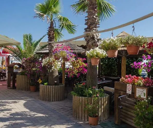 Monolocale Vittoria Daire Pesaro